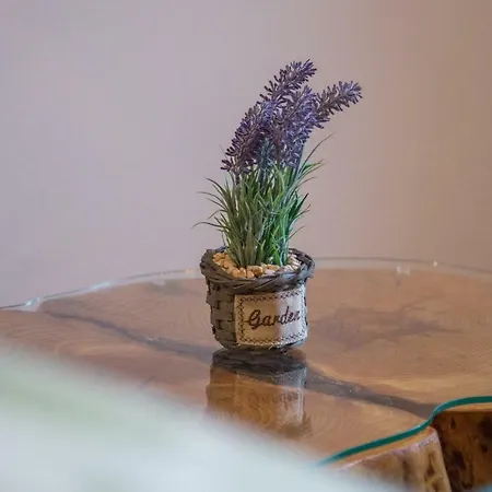 Henna Apartment *